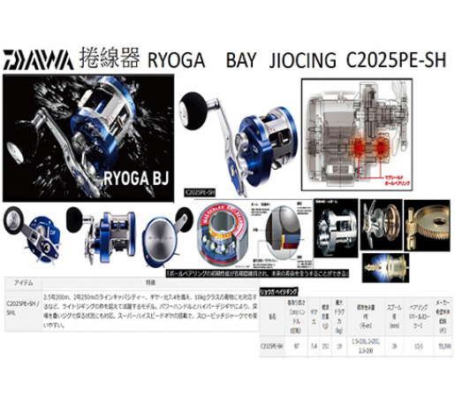 daiwa_ryoga_bj_c2025pe.jpg
